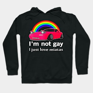 I Not Gay I Just Love  LGBT Lesbian Pride Hoodie